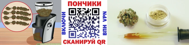 купить наркотики сайты  кракен tor  Canna-Cookies конопля  Карпинск 