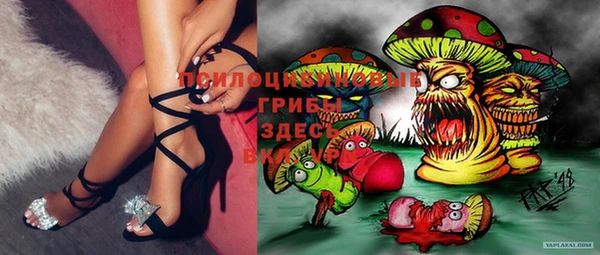 ГАЛЛЮЦИНОГЕННЫЕ ГРИБЫ Абинск