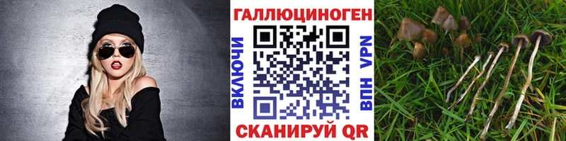 darknet какой сайт Карпинск Галлюциногенные грибы Magic Shrooms